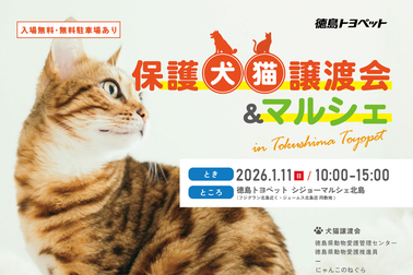 北島店保護犬猫譲渡会 メイン画像